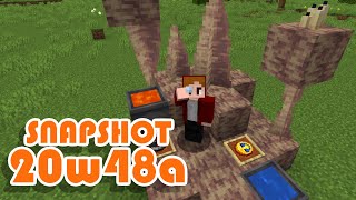 Minecraft 1.17 20w48a | Dripstone & Infinite Lava! | Snapshot Summary