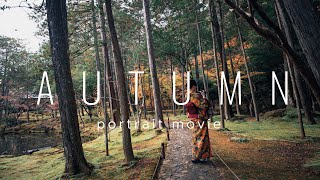 Autumn | Portrait movie | japan | shot on a7S3