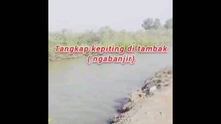 Menangkap kepiting di tambak muara bungin, muara gembong Bekasi Jawa Barat