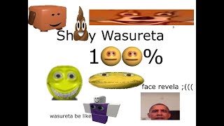 Shitty Wasureta 100% by AcropolisBoy (Bypass)