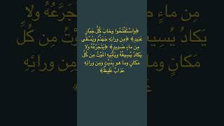 سورة إبراهيم وَاسْتَفْتَحُوا وَخَابَ كُلُّ جَبَّارٍ عَنِيدٍ   🌹🌹#سورة_إبراهيم