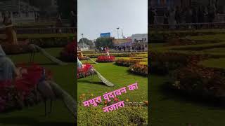 @refugiomental6032 मैं तो वृंदावन को जाऊं सखी#shortvideo @💞💞