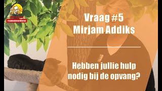 Vraag #5 DierenLot - Mirjam Addiks