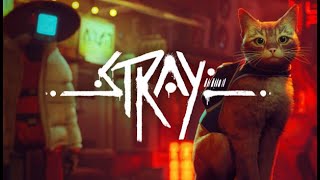 STRAY  Я как владелец рыжего кота,  заинтересован в игре!