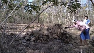 Musim kemarau panjang banyak hutan dan lahan kebakaran