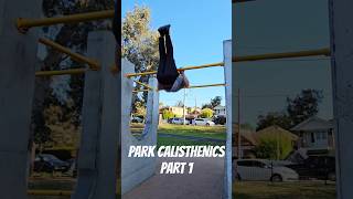 Park freestyle Calisthenics ! (2 vids in 1 day, wow!) #gymnastics #wallrun #calisthenics #fit