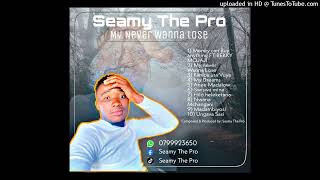 Seamy The Pro_My Never Wanna Lose