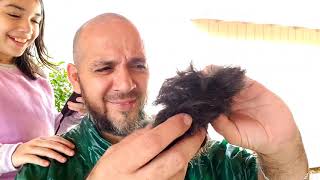 Bald, for the greater good. It was fugly, now it's Saulgood. My lovely little Misha shaved my head.