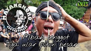 BAPAK INI MEMASUKAN ULAR KE HIDUNGNYA |JARANAN MAYANGKORO ORIGINAL GOA SELOMANGKLING