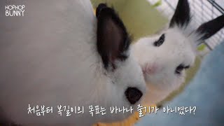 함정에 빠진 복순진이