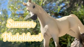 Schleich Horse Photoshoot - Summer Time Photos