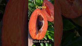 Zapote. #shortvideo #remédios #dicasnaturais #remedionatural