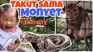 LIHAT ULAR DAN MONYET DI BUKIT WONOPOTRO BOYOLALI