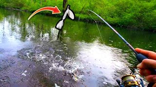 3 Stream FISHING CHALLENGE