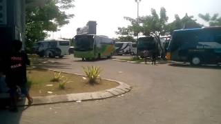 Telolet (sch) bus lisa trans melodi