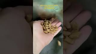 pillow shape dog food machine