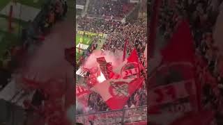 PYRO - 1. FSV Mainz 05 - 1. FC Köln 21.10.22