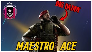 Maestro Ace | Rainbow Six Siege