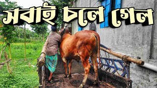 সব গরু ডেলিভারি দেওয়া শেষ || গরুর হোম ডেলিভারি || Purbasha Agro