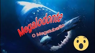 Megalodonte: o Megatubarão