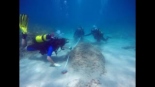 Trovato il relitto di un sottomarino al largo di Capo Bon