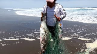 Este pescador no se percató que al jalar la red venían dos enormes peces atrapados