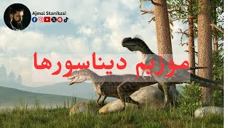 موزیم شهر مونستر جرمنی جرمنی (NRW)