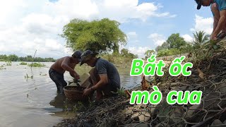 [Vlog]_Mò cua bắt ốc cuối tuần.