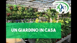 Un Giardino in casa: alcuni consigli per il vostro verde da appartamento - Legnaia@RTV38