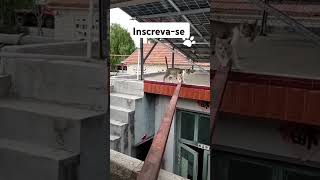 #pet #pets #animais #bichos #animal #viralvideo #gatos #adoteumgato #mensagem #gatos #cat #adote