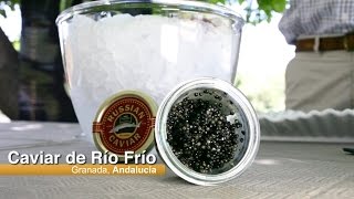 El caviar de Riofrío, una delicatessen made in Granada