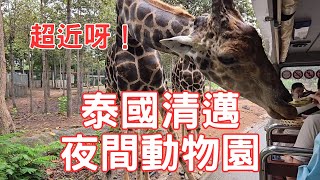 【泰國旅遊】清邁夜間動物園｜超近距離接觸野生動物｜真係好近呀｜趁天光開始玩會更好玩｜全亞洲唯一兩個夜間動物園佢最大｜Chiang Mai Night Safari｜泰國旅行｜親子好去處｜開字幕睇呀