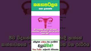 කන්‍යා පටලය | The Hymen | AYUBOWAN ආයුබෝවන් | MLT Anushika Perera