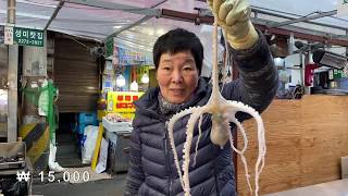 NYOBAIN MAKAN GURITA HIDUP DI KOREA