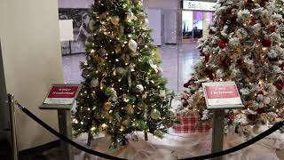 Festival of Trees 2021