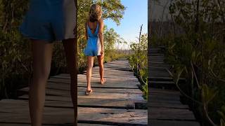 Walking through a recovering Mangrove forest in Avellanas, Costa Rica