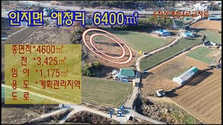 💖급매 [딸기283]충남 서산시 인지면 애정리 4600㎡ 매매. 딸기공인중개사 .041.662.0880