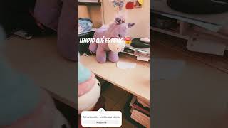 Mi unicornio se enojó