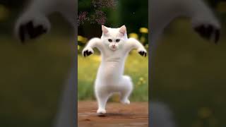 😂Kitten's Got Talent! PART 4🐱🌟#shorts#cat#catdance