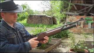 Luftgewehr Walther 1250 Dominator Plinking