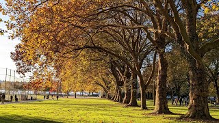 fall @ green lake