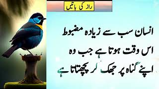 Mohabbat Mein Do Tarah Ke Gunahgar Hote Hain | Best Islamic Quotes In Urdu