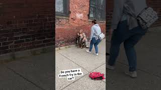 Getting the shot with a dog at a senior photo shoot