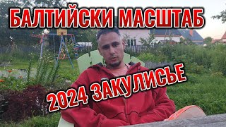 Выставка Балтийский Масштаб 2024 #выставка #сборныемодели #моделизм