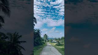 Stratus Clouds #reels #shortsvideo #shortsfeed  #shortsviral