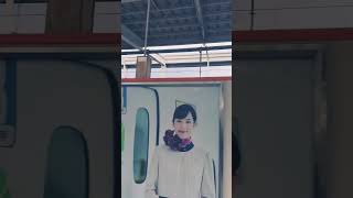 【ご無沙汰の新幹線出張🚅】#営業マン #5月 #経済 #円安 #shorts