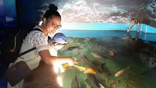 frymburk aquarium| family day|longest fish|