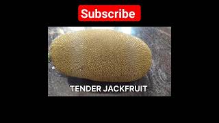 HEALTHY TENDERJACKFRUIT DRYCURRYRECEIPE #healthycookinreceipeswithappi