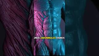 como ESCULPIR abdominales dignos de los dioses