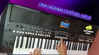 Una lágrima cayó del cielo | Ritmo personalizado con intro | Tienda de ritmos y samples Avofc